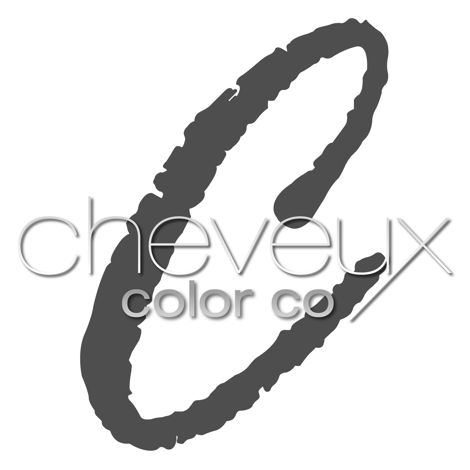 Cheveux Color Company business photo